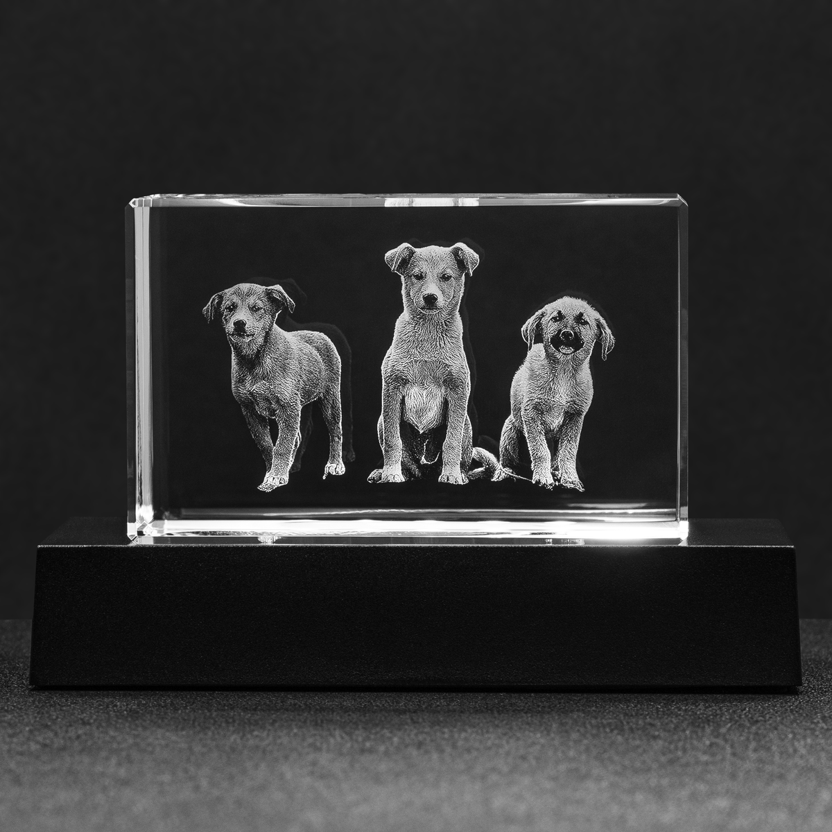Personalized Laser Etched Photo Block Crystal