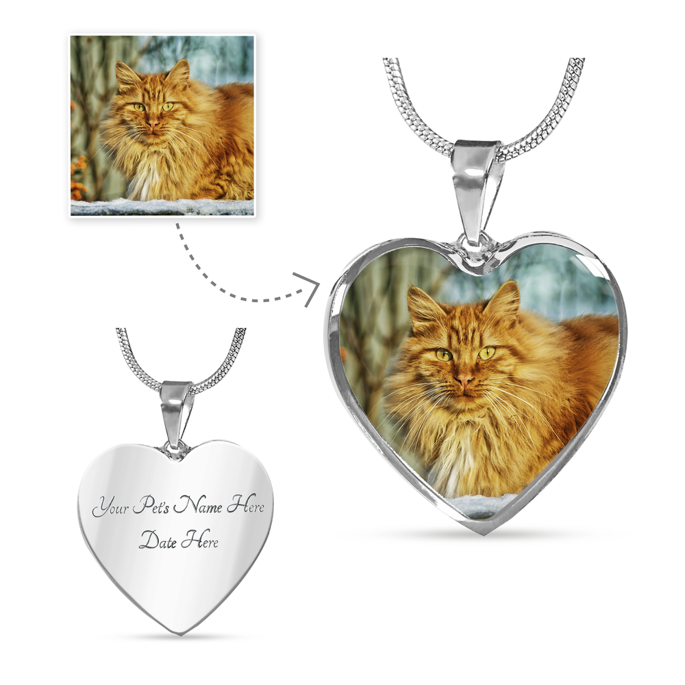 personalized photo/picture necklace - cat remembrance stainless steel necklace with engravings